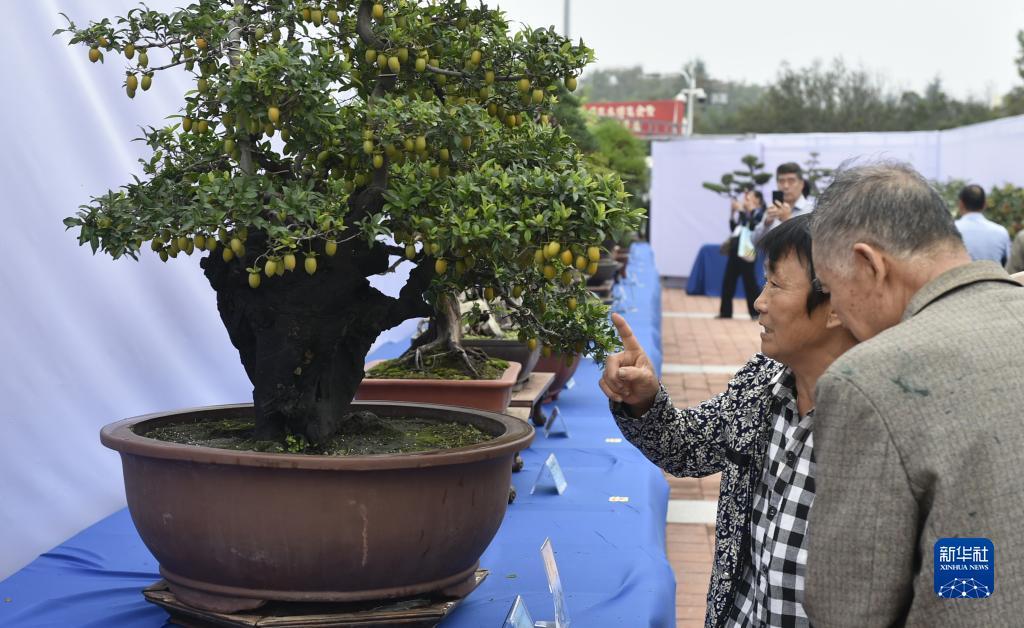 天下现金网入口